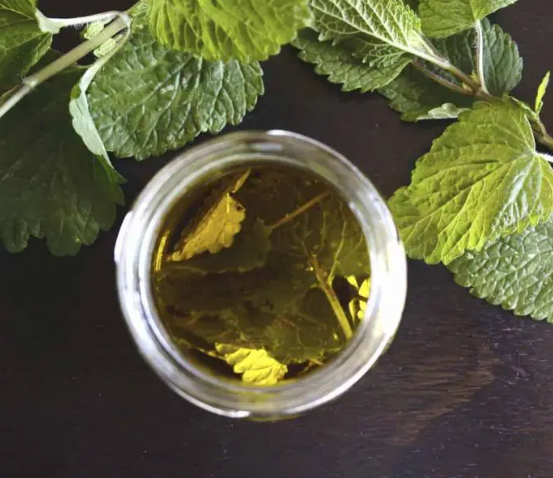 Peppermint Essential Roll-on Oil Perfume